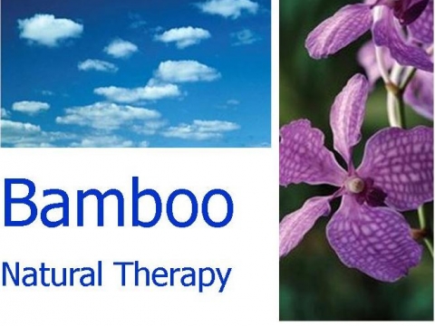 Bamboo Natural Therapy