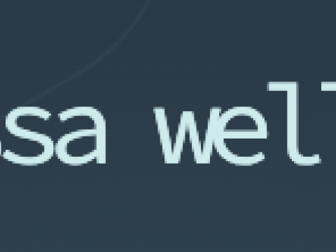 Vanessa wellness Massage Therapy 